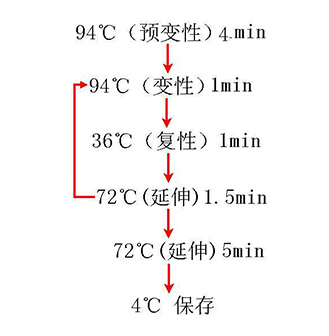 南宫ng28(中国)官方网站